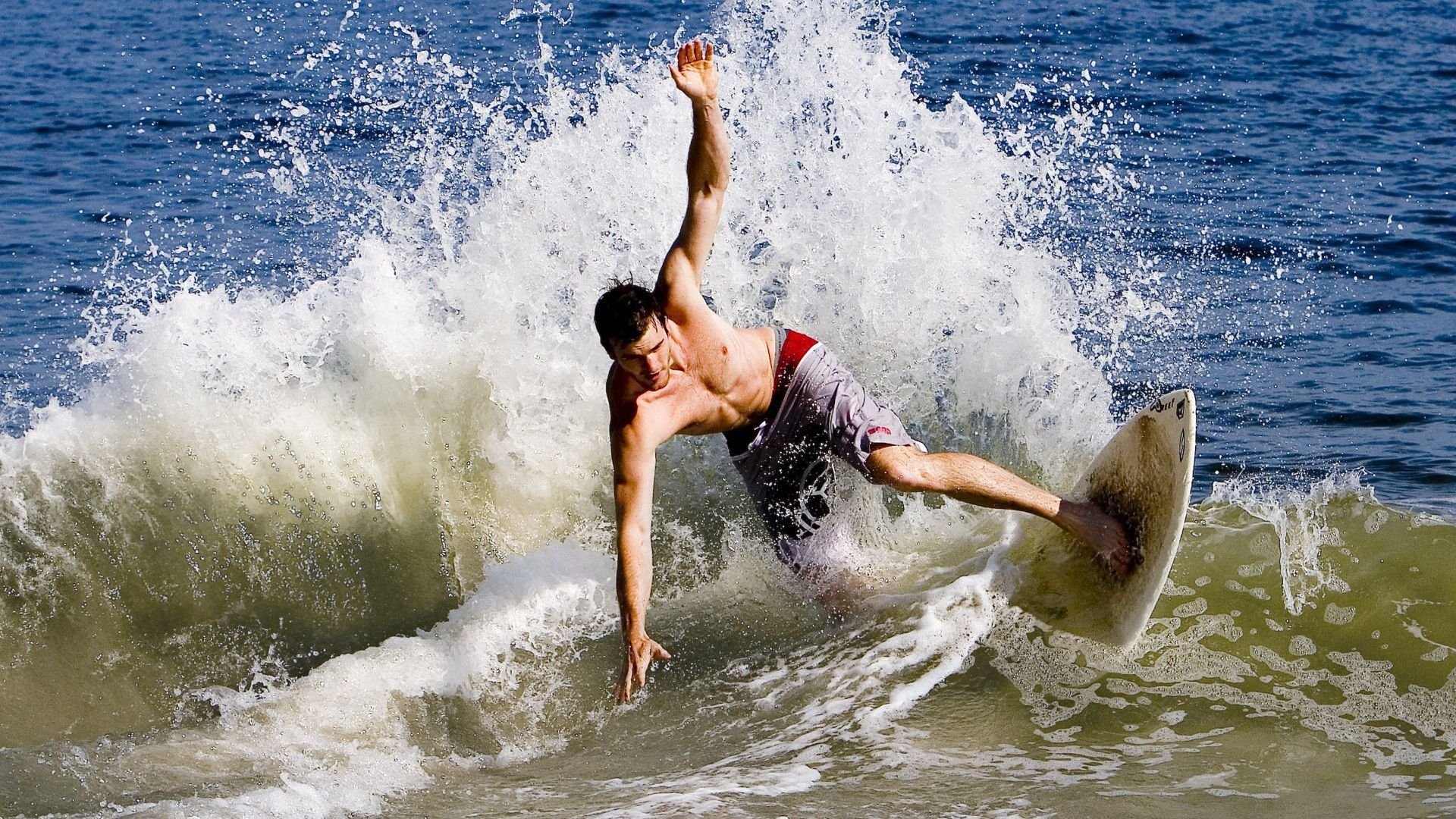 河北猛虎引进新外援锋线实力大增,河北猛虎师